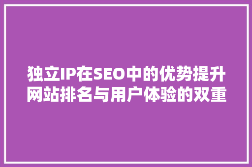 独立IP在SEO中的优势提升网站排名与用户体验的双重保障
