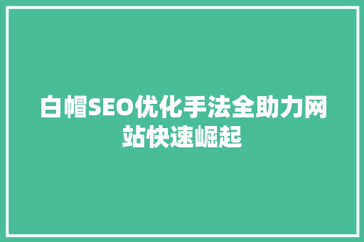 白帽SEO优化手法全助力网站快速崛起  第1张