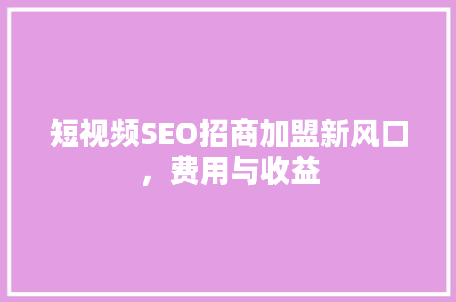 短视频SEO招商加盟新风口，费用与收益