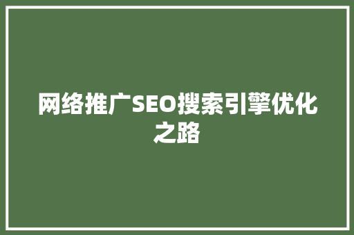 网络推广SEO搜索引擎优化之路