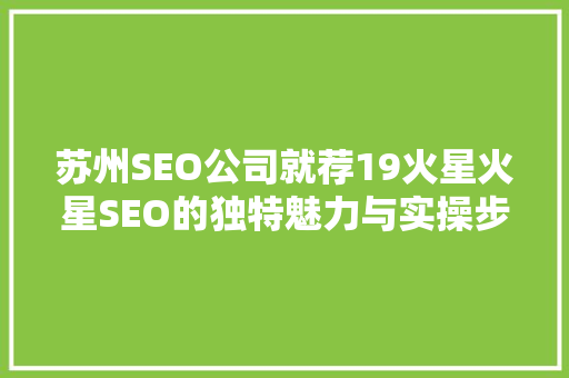 苏州SEO公司就荐19火星火星SEO的独特魅力与实操步骤