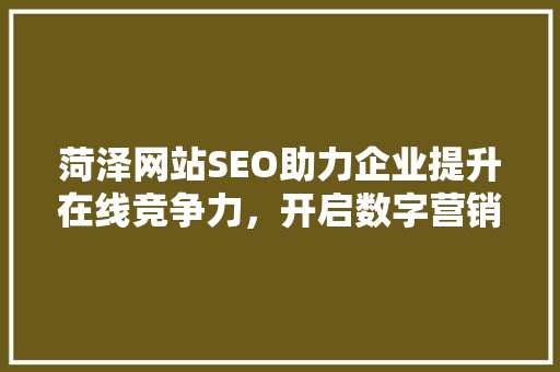 菏泽网站SEO助力企业提升在线竞争力，开启数字营销新篇章