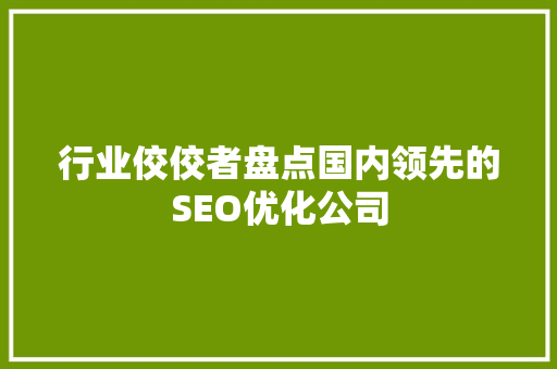行业佼佼者盘点国内领先的SEO优化公司