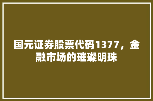 国元证券股票代码1377，金融市场的璀璨明珠