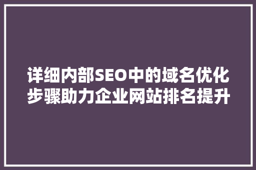 详细内部SEO中的域名优化步骤助力企业网站排名提升