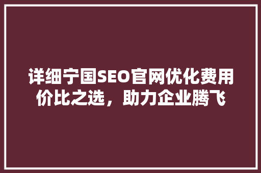 详细宁国SEO官网优化费用价比之选，助力企业腾飞