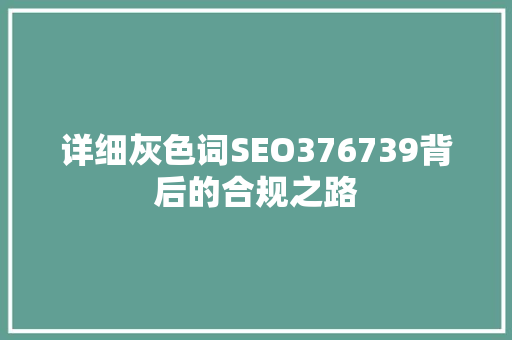 详细灰色词SEO376739背后的合规之路