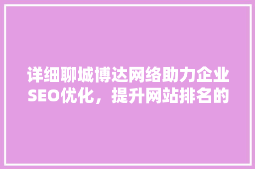 详细聊城博达网络助力企业SEO优化，提升网站排名的秘密武器