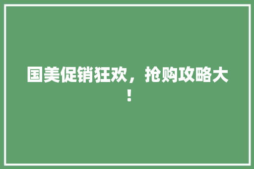国美促销狂欢，抢购攻略大！