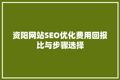 资阳网站SEO优化费用回报比与步骤选择
