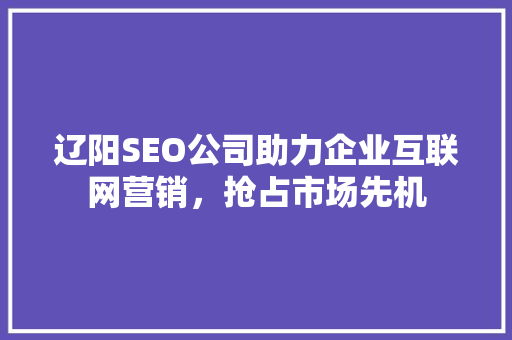 辽阳SEO公司助力企业互联网营销，抢占市场先机