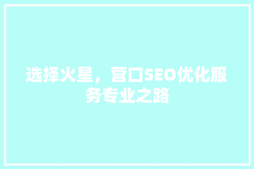选择火星，营口SEO优化服务专业之路
