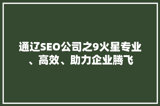 通辽SEO公司之9火星专业、高效、助力企业腾飞