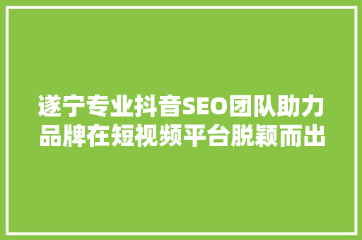 遂宁专业抖音SEO团队助力品牌在短视频平台脱颖而出