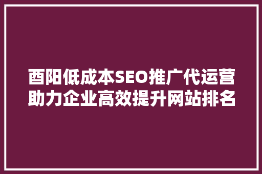 酉阳低成本SEO推广代运营助力企业高效提升网站排名