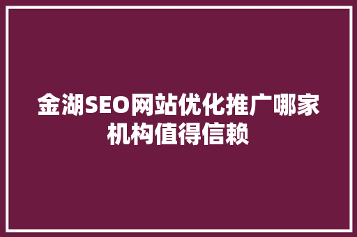 金湖SEO网站优化推广哪家机构值得信赖