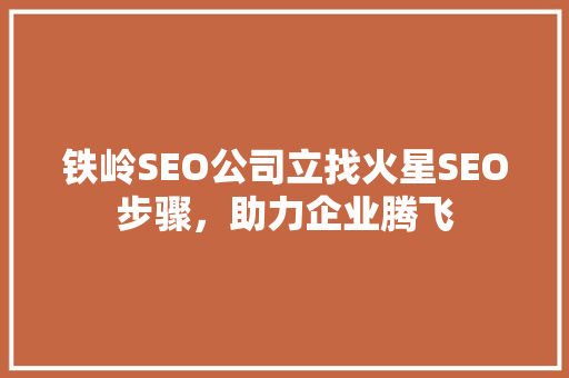铁岭SEO公司立找火星SEO步骤，助力企业腾飞  第1张
