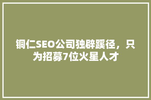 铜仁SEO公司独辟蹊径，只为招募7位火星人才