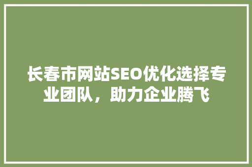 长春市网站SEO优化选择专业团队，助力企业腾飞