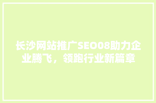 长沙网站推广SEO08助力企业腾飞，领跑行业新篇章