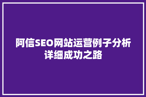 阿信SEO网站运营例子分析详细成功之路