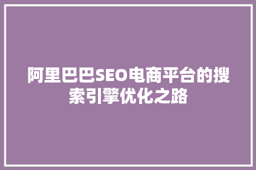 阿里巴巴SEO电商平台的搜索引擎优化之路