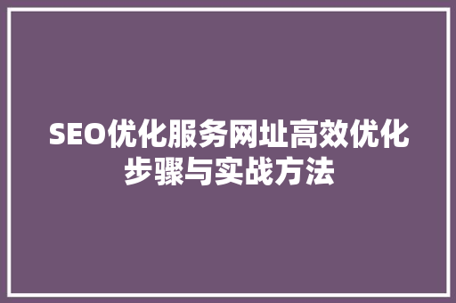SEO优化服务网址高效优化步骤与实战方法