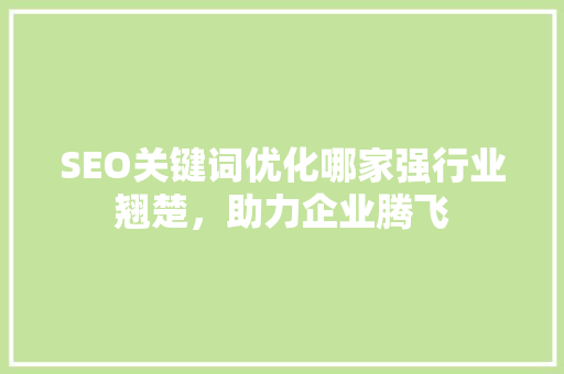 SEO关键词优化哪家强行业翘楚，助力企业腾飞