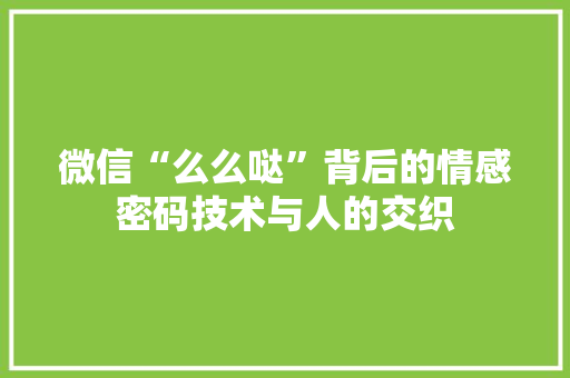 微信“么么哒”背后的情感密码技术与人的交织
