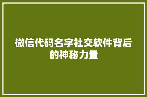 微信代码名字社交软件背后的神秘力量