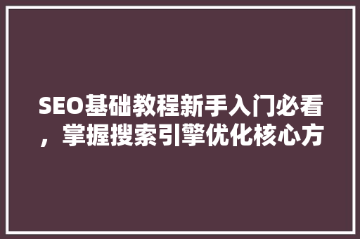 SEO基础教程新手入门必看，掌握搜索引擎优化核心方法