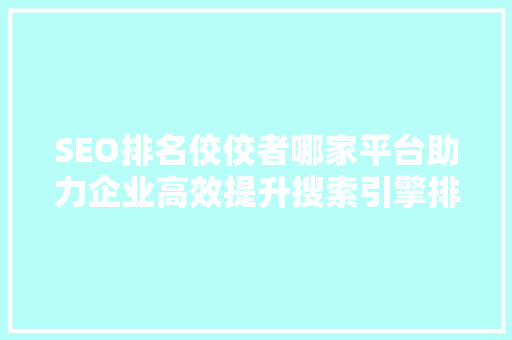 SEO排名佼佼者哪家平台助力企业高效提升搜索引擎排名