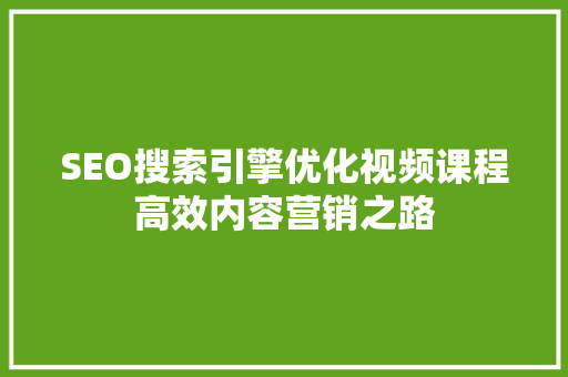 SEO搜索引擎优化视频课程高效内容营销之路
