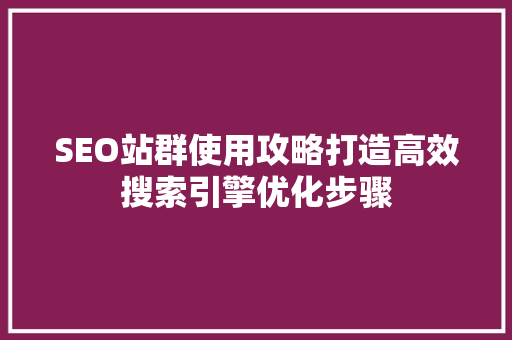 SEO站群使用攻略打造高效搜索引擎优化步骤