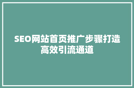 SEO网站首页推广步骤打造高效引流通道