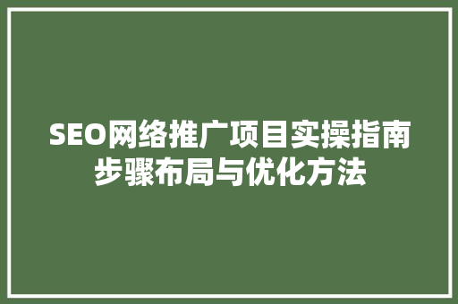 SEO网络推广项目实操指南步骤布局与优化方法