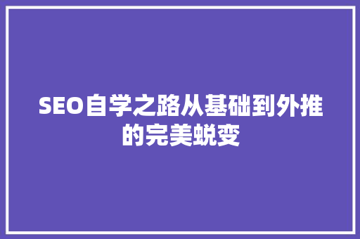 SEO自学之路从基础到外推的完美蜕变