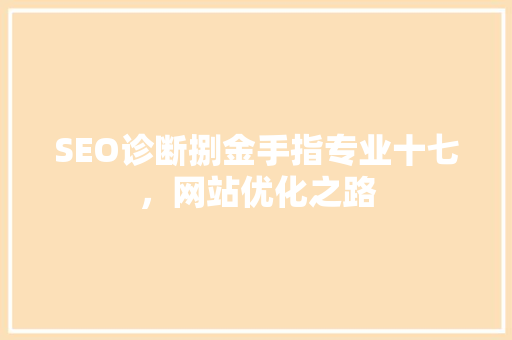 SEO诊断捌金手指专业十七，网站优化之路