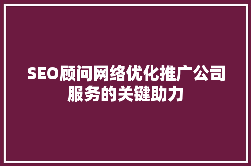 SEO顾问网络优化推广公司服务的关键助力