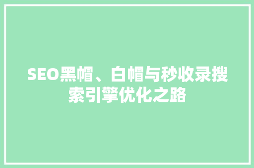 SEO黑帽、白帽与秒收录搜索引擎优化之路