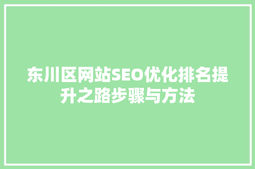 东川区网站SEO优化排名提升之路步骤与方法