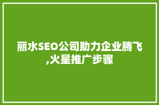 丽水SEO公司助力企业腾飞,火星推广步骤