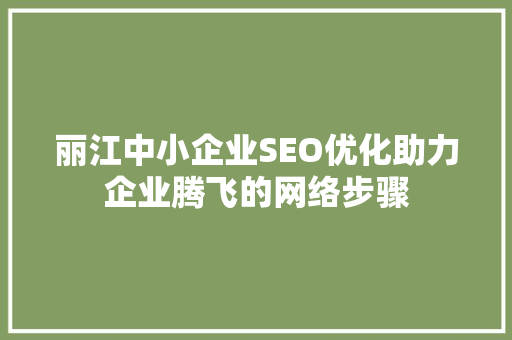 丽江中小企业SEO优化助力企业腾飞的网络步骤