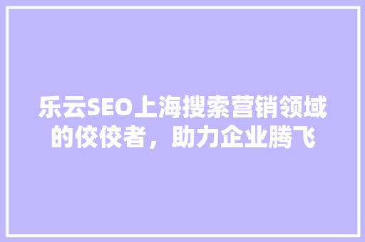 乐云SEO上海搜索营销领域的佼佼者，助力企业腾飞