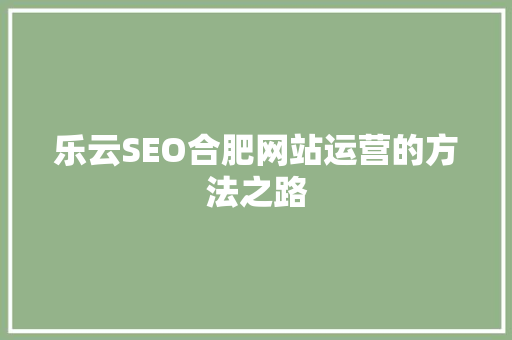 乐云SEO合肥网站运营的方法之路