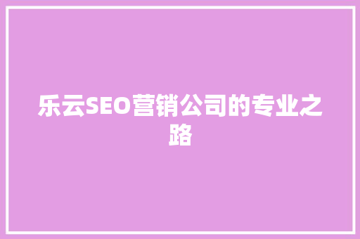 乐云SEO营销公司的专业之路  第1张