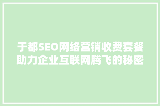 于都SEO网络营销收费套餐助力企业互联网腾飞的秘密武器