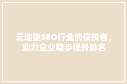 云速捷SEO行业的佼佼者，助力企业稳步提升排名