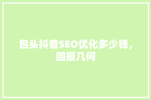 包头抖音SEO优化多少钱，回报几何