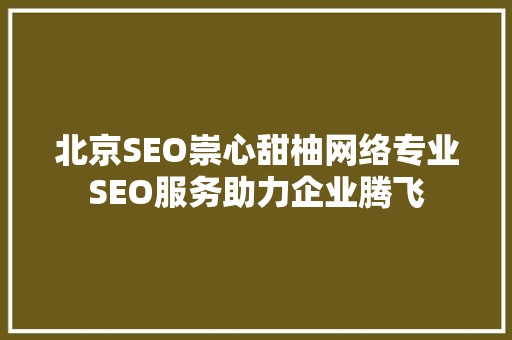 北京SEO崇心甜柚网络专业SEO服务助力企业腾飞